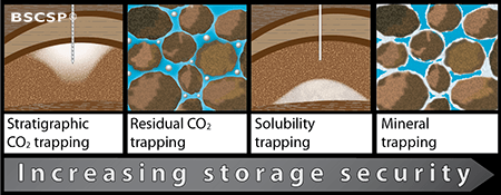There are a variety of ways geologic environments store CO<small>2</small>, with the mineralization of CO<small>2</small> being the most effective.